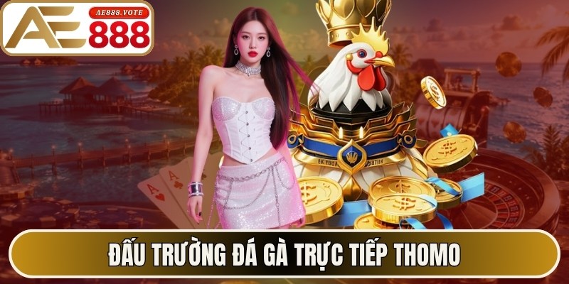 AE888 - Trang Chủ Chính Thức #1 Ae888.com 2026 | Tặng 88K 14 Đấu trường đá gà trực tiếp thomo với 45K tín đồ theo dõi mỗi ngày