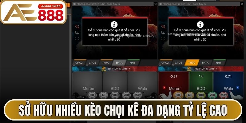 Sở hữu nhiều kèo chọi kê đa dạng tỷ lệ cao