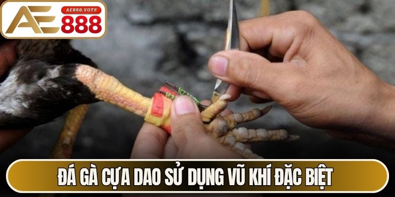 Đá Gà Cựa Dao - Sức Hút Từ Các Trận Đấu Kịch Tính Tại AE888 1 Đá gà cựa dao sử dụng vũ khí đặc biệt