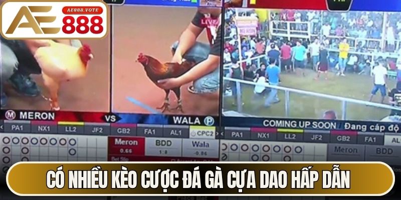 Đá Gà Cựa Dao - Sức Hút Từ Các Trận Đấu Kịch Tính Tại AE888 3 Có nhiều kèo cược đá gà cựa dao hấp dẫn