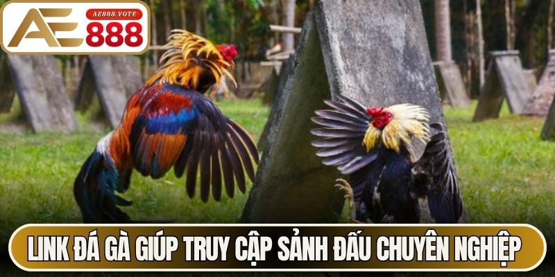Link Đá Gà AE888 Trực Tiếp Không Còn Lo Chặn Truy Cập 1 Link đá gà giúp truy cập sảnh đấu chuyên nghiệp