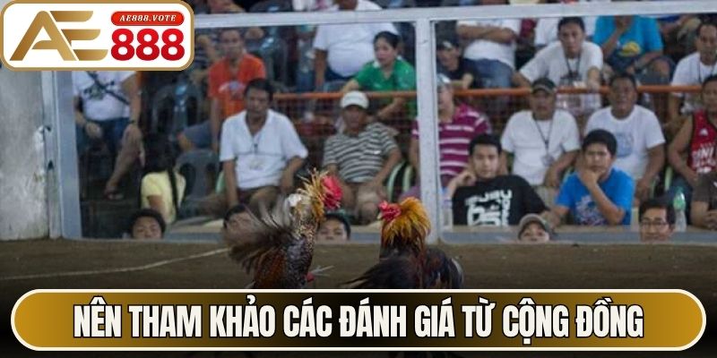 Link Đá Gà AE888 Trực Tiếp Không Còn Lo Chặn Truy Cập 3 Nên tham khảo các đánh giá từ cộng đồng