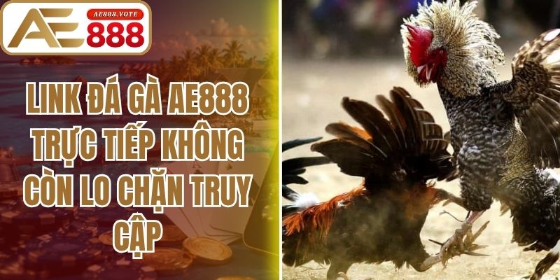 Link Đá Gà AE888 Trực Tiếp Không Còn Lo Chặn Truy Cập