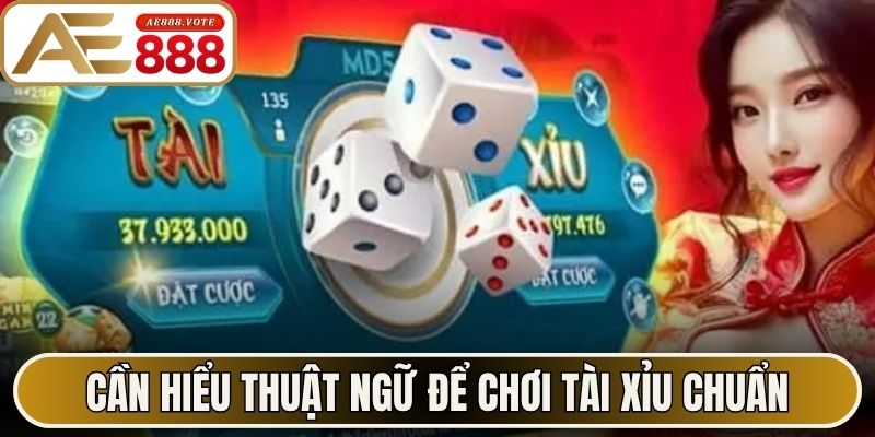 Tài Xỉu AE888 - Hướng Dẫn Cách Chơi, Chinh Phục Cửa Cược 3 Cần hiểu thuật ngữ để chơi tài xỉu chuẩn